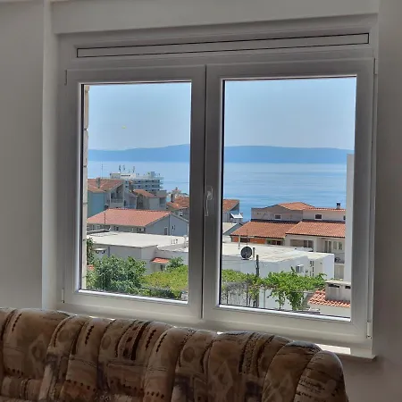 Agapanthus * Makarska