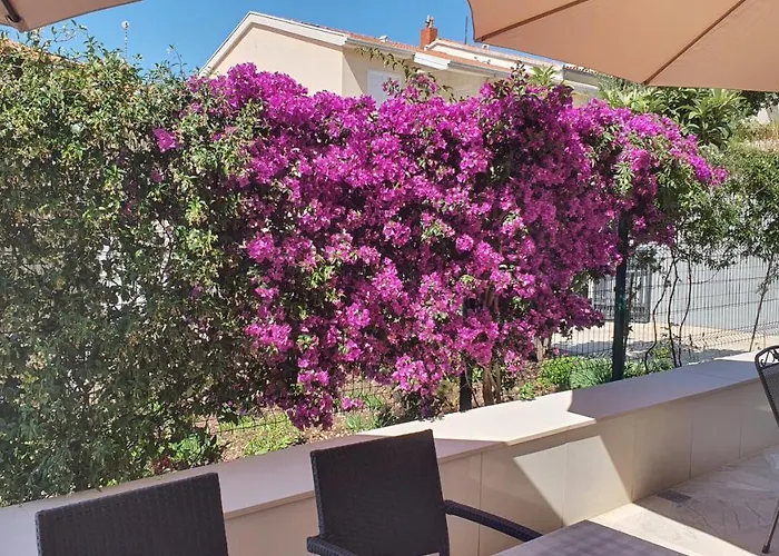 Apartmán Agapanthus