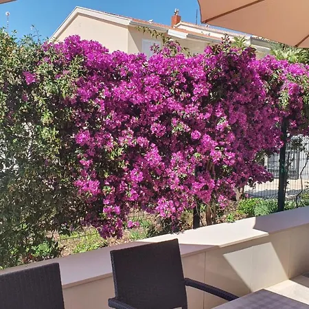 Apartment Apartment Agapanthus