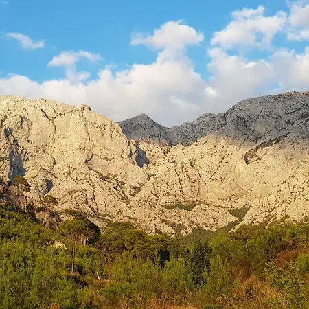 Apartment Agapanthus *