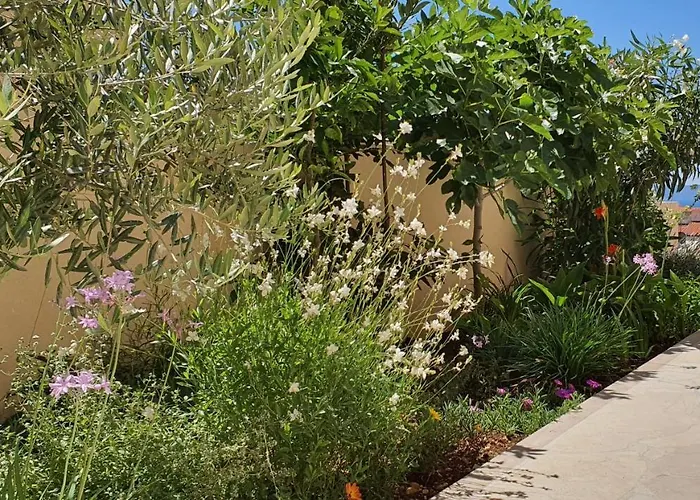 Apartment Agapanthus Apartment Makarska