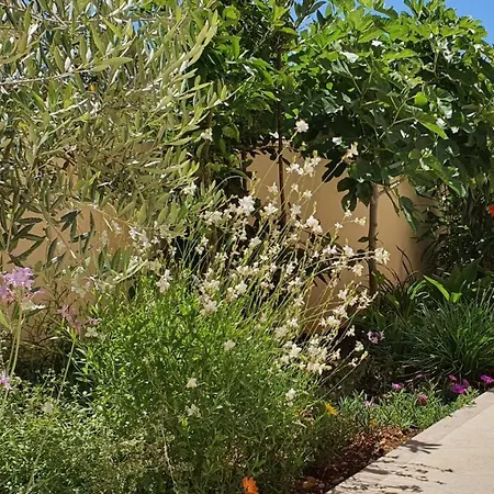 Agapanthus Appartement Makarska